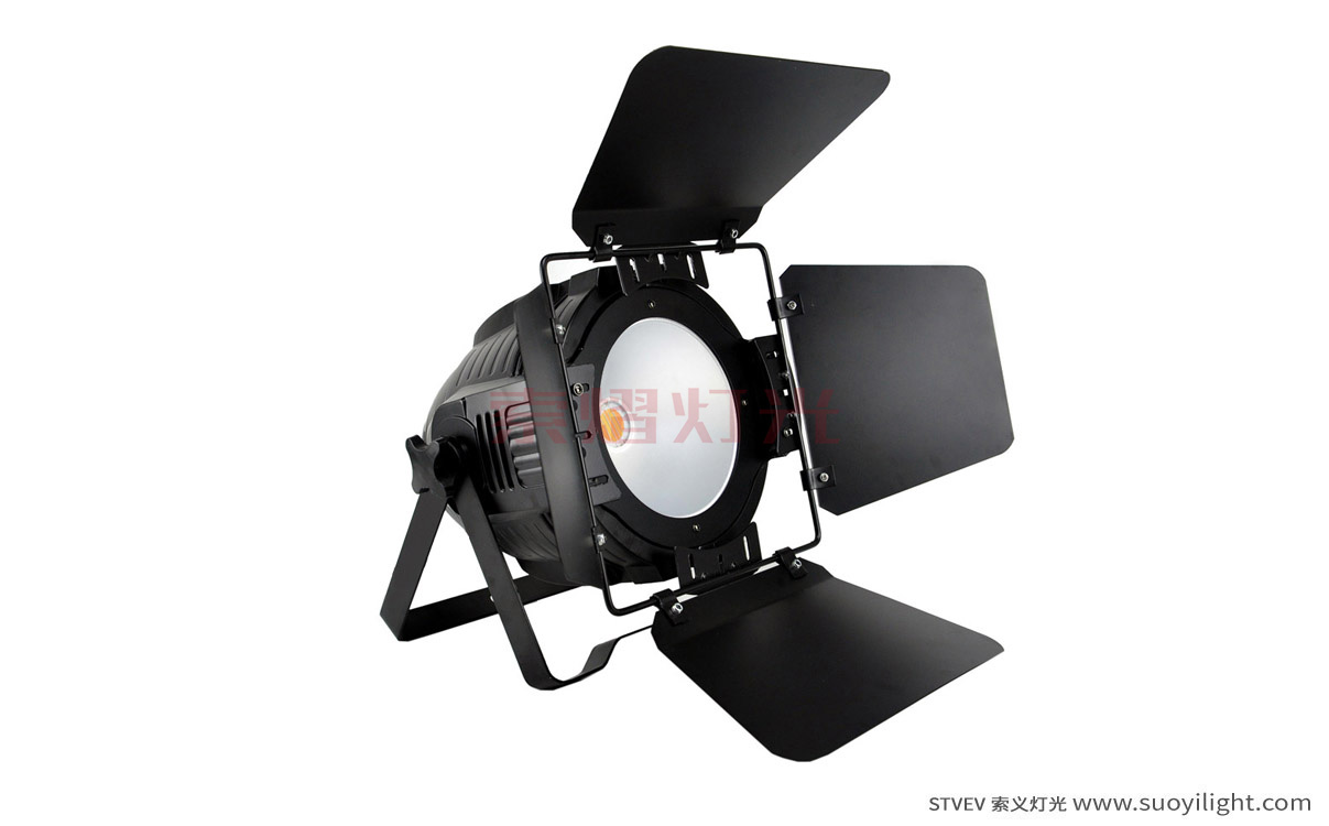 Vietnam200W COB LED Par Light