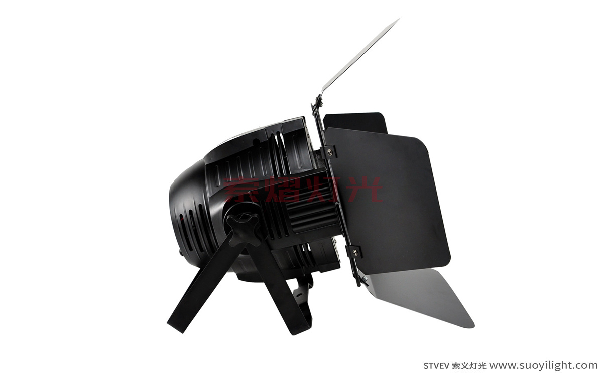 Vietnam200W COB LED Par Light