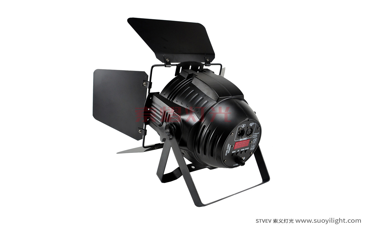 Vietnam200W COB LED Par Light