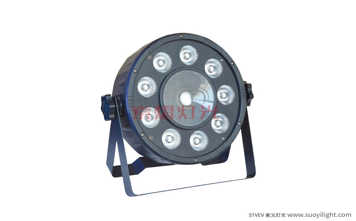 Vietnam9+1 LED Plastic Par Light