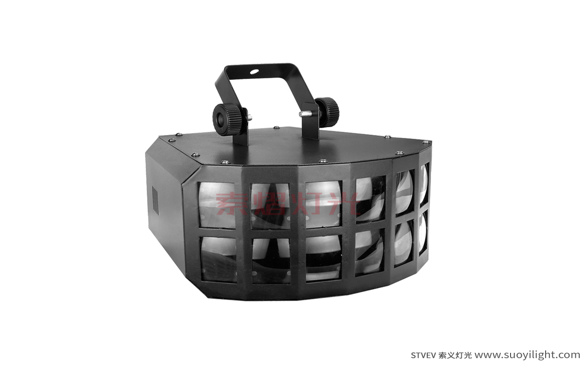 VietnamLED Double Butterfly Light