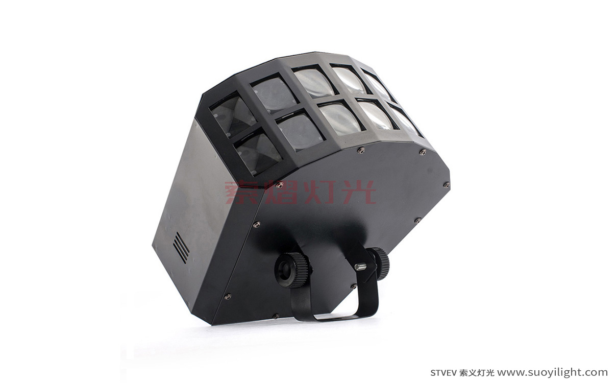 VietnamLED Double Butterfly Light