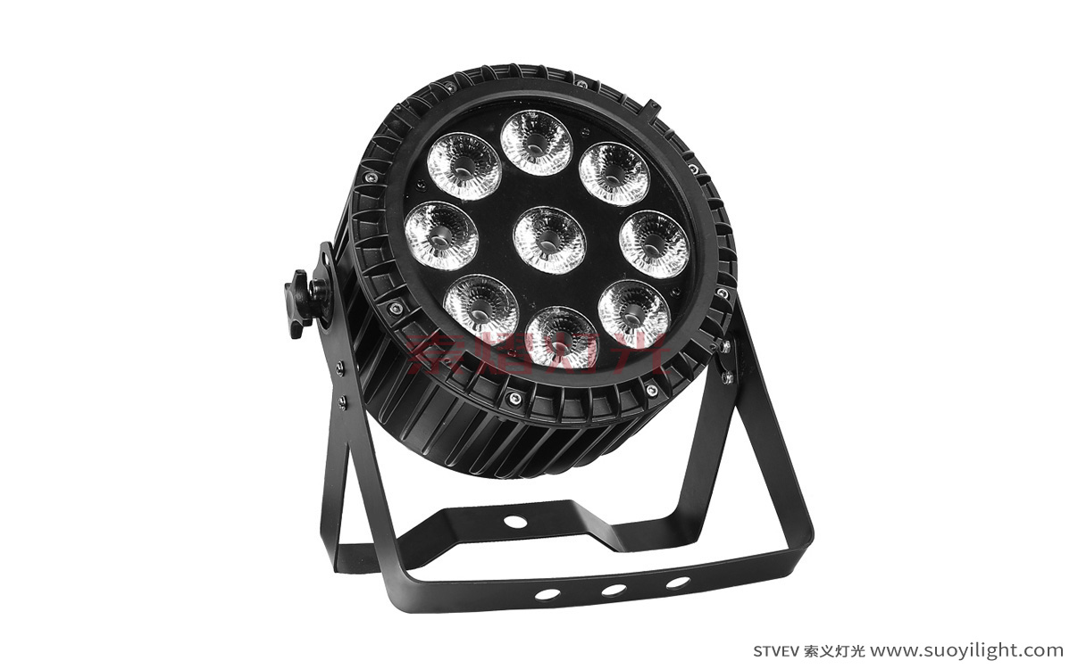 Vietnam9*12W 4 in 1 Waterproof LED Par Light