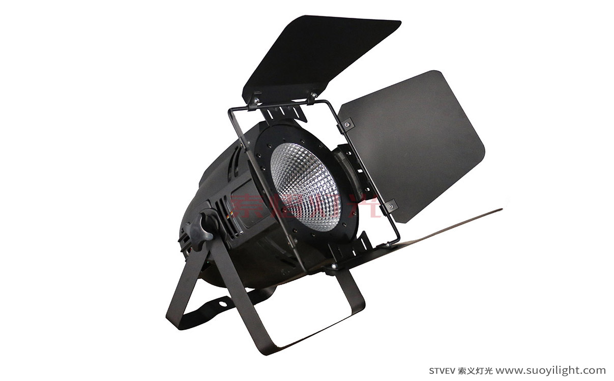 Vietnam100W LED COB Par Light