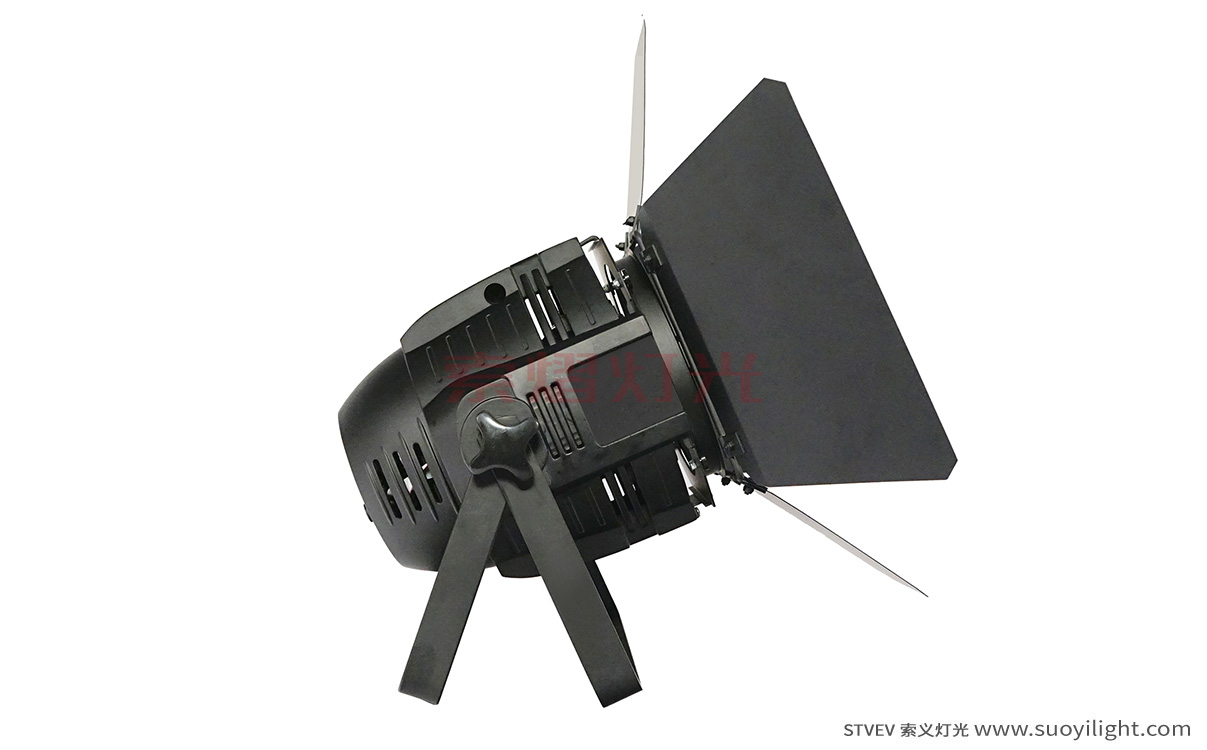 Vietnam100W LED COB Par Light