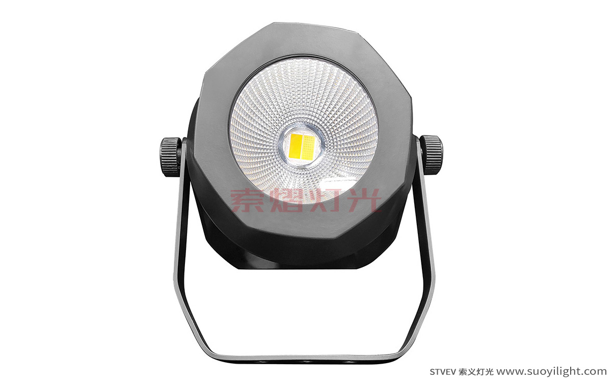 Vietnam200W Waterproof COB Par Light